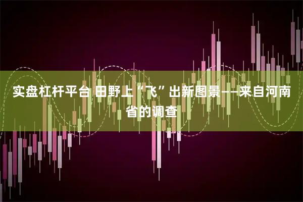 实盘杠杆平台 田野上“飞”出新图景——来自河南省的调查